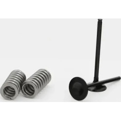 Valve Kit