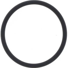 Exhaust Gasket
