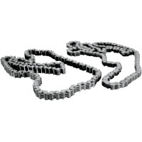 Cam Chain