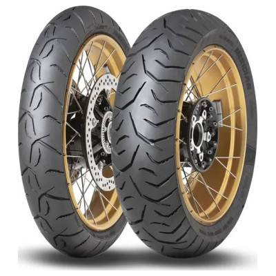 Trailmax Meridian Tire