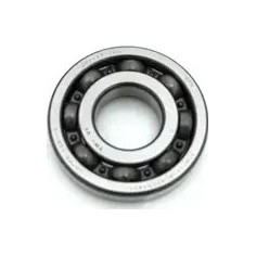 Main Bearing And Seal
