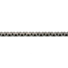 Cam Chain