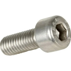Bolt Mounting Screw Silver