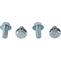 Wheel Stud-nut Kit Silver