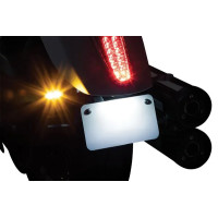 Rear Turn Signal & License Plate Mount