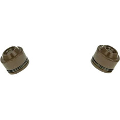 Valve Seal