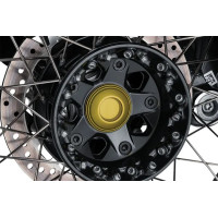 Rear Axle Sliders Gold