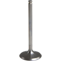 Black Diamond Engine Valve