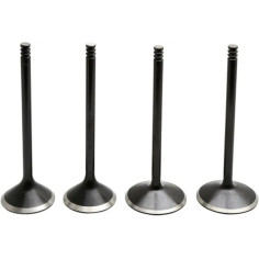 Black Diamond Engine Valve Kit