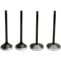 Black Diamond Engine Valve Kit