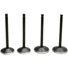 Black Diamond Engine Valve Kit