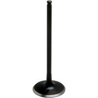 Black Diamond Engine Valve