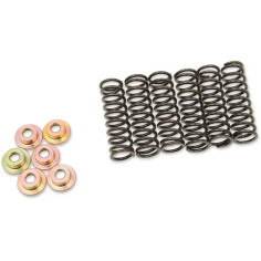 Clutch Spring Kit Black
