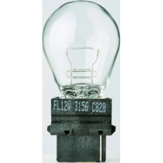Filament Glass Wedge Bulbs Amber