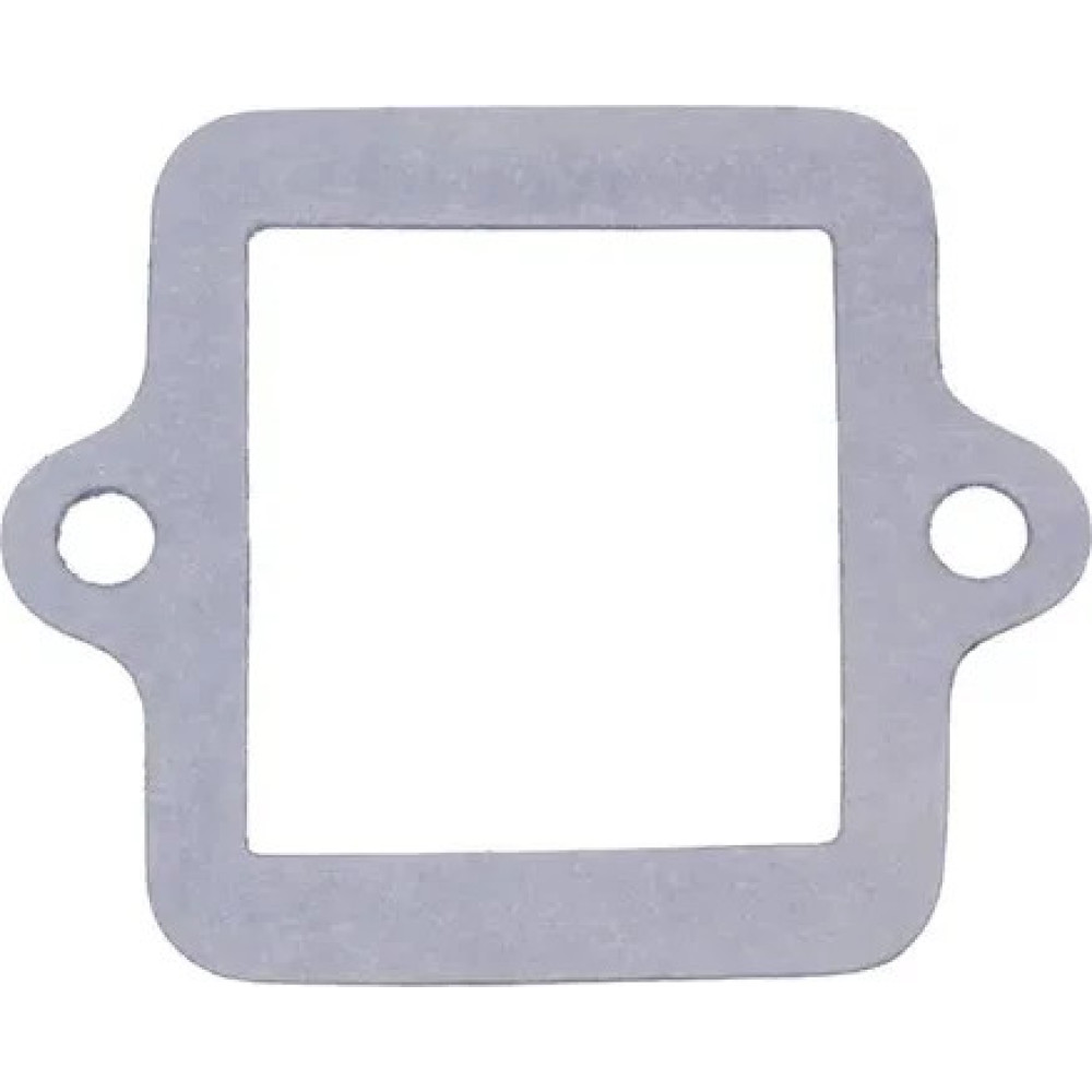 Reed Valve Gasket