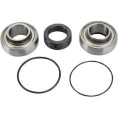 Chain Case Bearing And Seal Kit