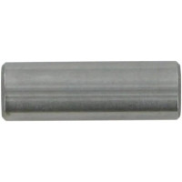 Wrist Pin