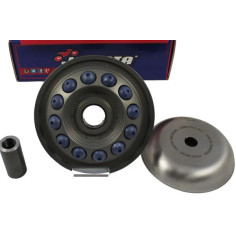 Pro Series Variator