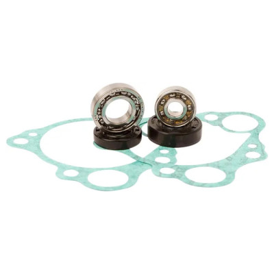 Water Pump Repair Kit
