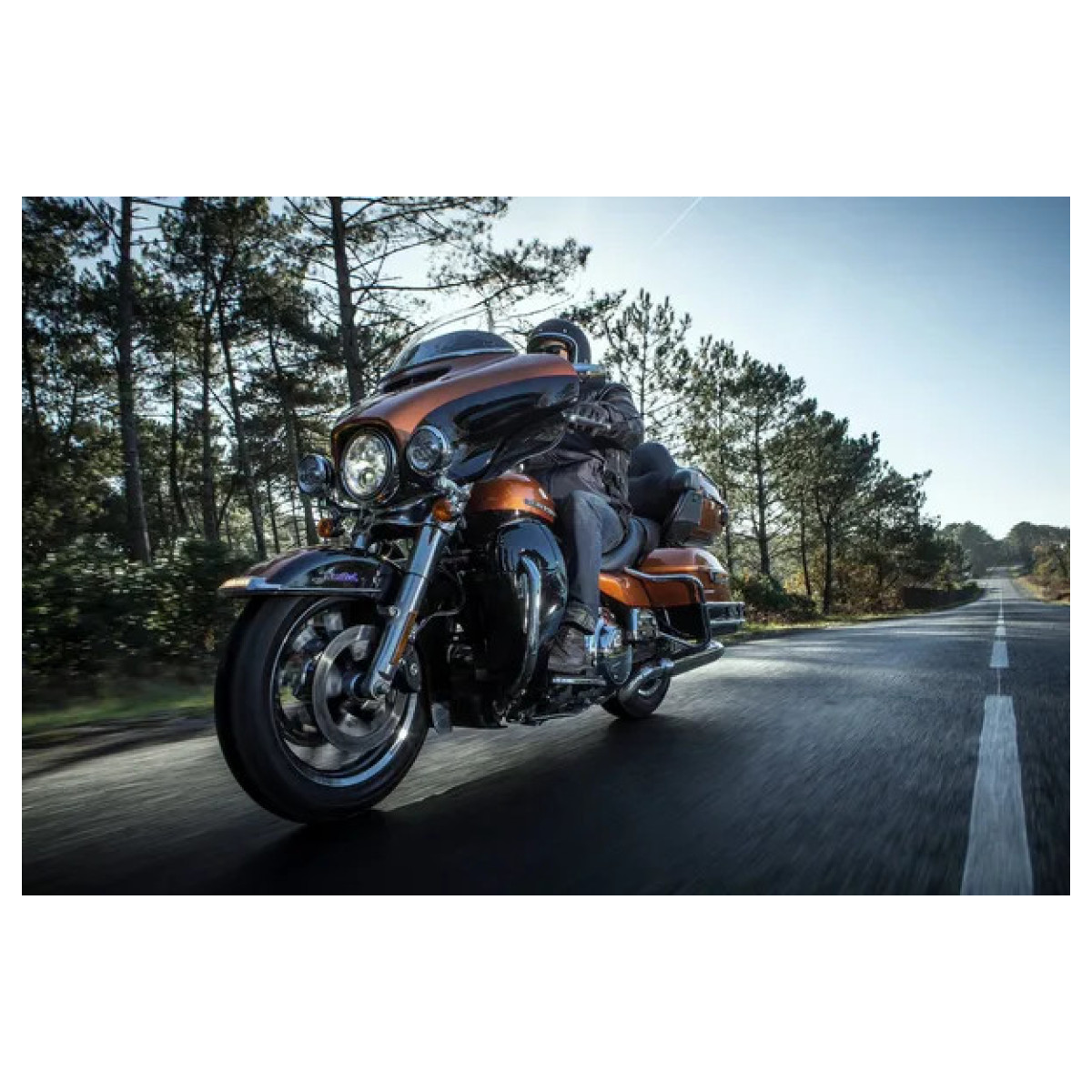 Scorcher 31 Tire