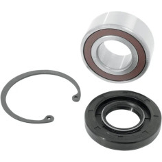 Mainshaft Bearing And Seal Kit Chrome