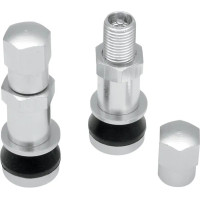 Bolt-in Valve Stem Chrome