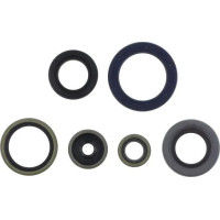 Engine Oil Seal