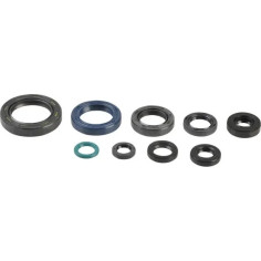 Engine Oil Seal