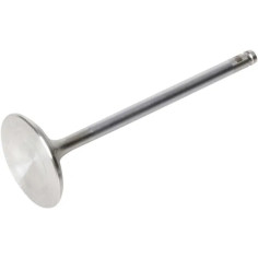 White Diamond Engine Valve