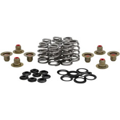 Beehive Valve Spring Kit