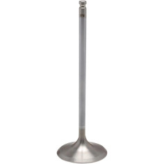 White Diamond Engine Valve