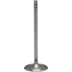 White Diamond Engine Valve