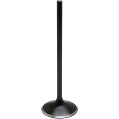 Nitrided Valve