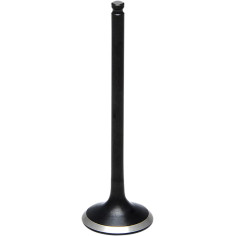 Black Diamond Engine Valve