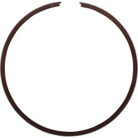 Piston Ring