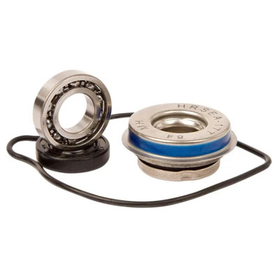 Water Pump Repair Kit