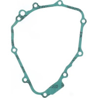 Ignition Gasket