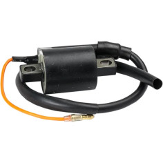 Ignition Coil Black
