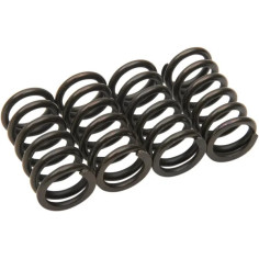 Clutch Spring Kit Black