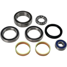 Chain Case Bearing And Seal Kit