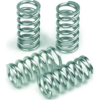 Clutch Spring Kit Silver