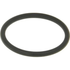 Exhaust Gasket
