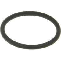 Exhaust Gasket