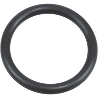 O-ring