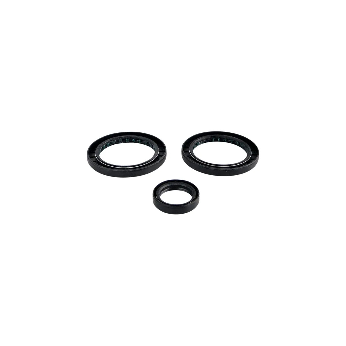Differential Seal Kit