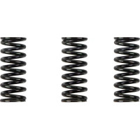 Clutch Spring Kit