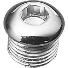 Timing And Oil Tank Drain Plug Silver