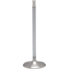 White Diamond Engine Valve