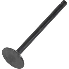 Nitrided Valve