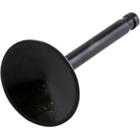 Nitrided Valve